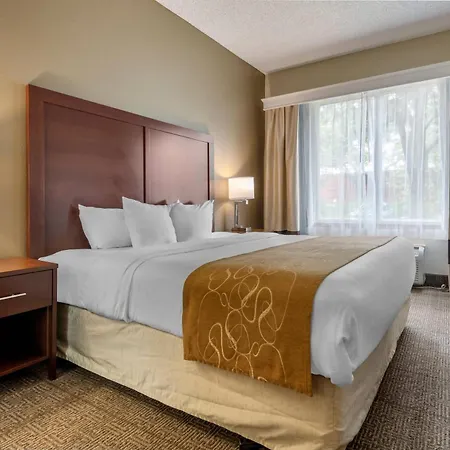 Comfort Suites Sawgrass Tamarac Exterior photo