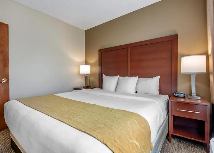 Comfort Suites Sawgrass